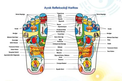 Ayak Refleksolojisi